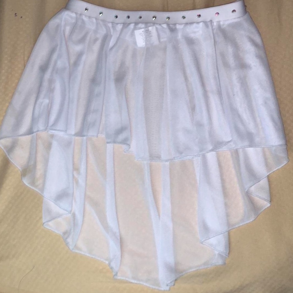 Mesh Skirt